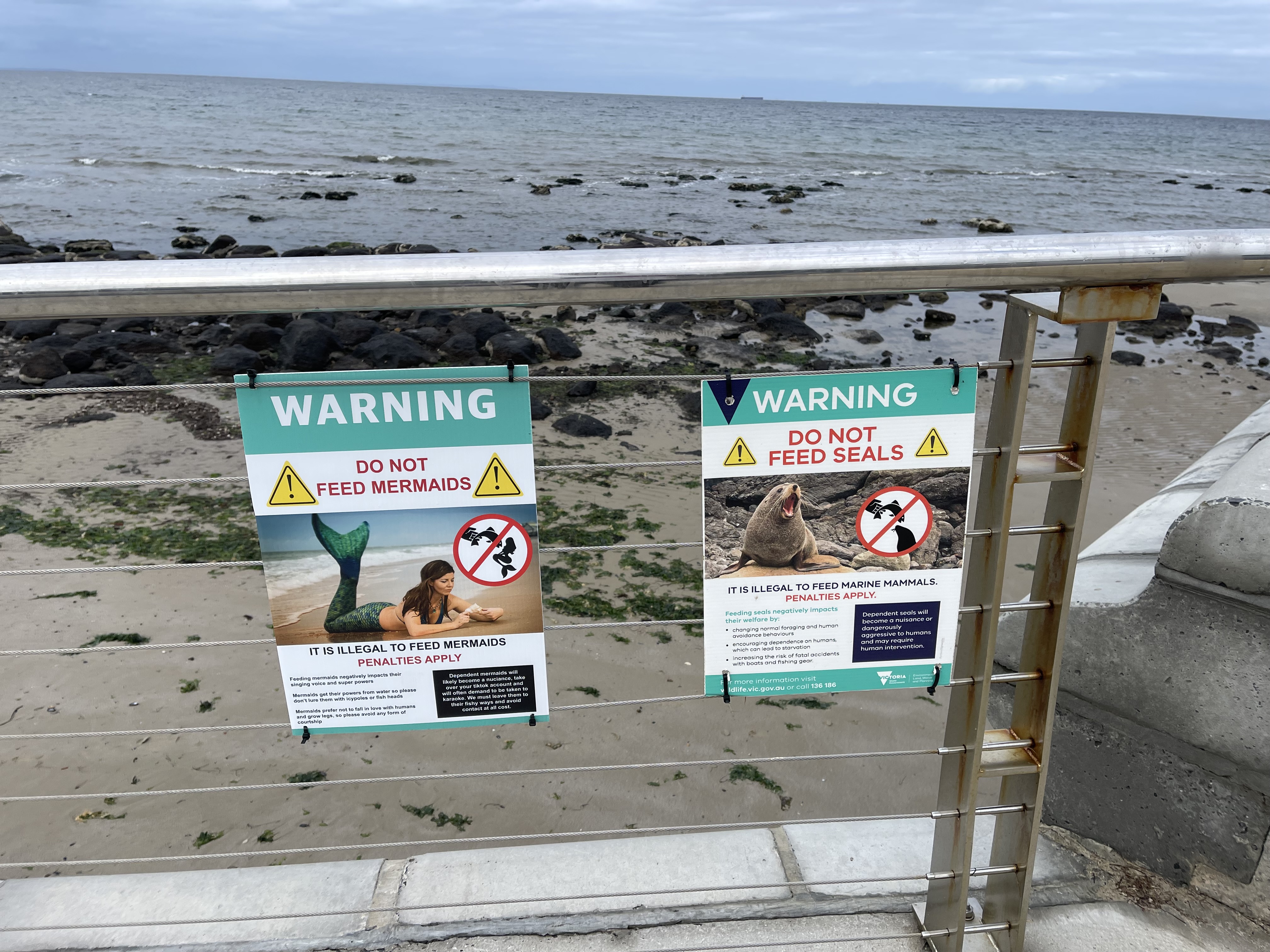 Don’t feed the mermaids